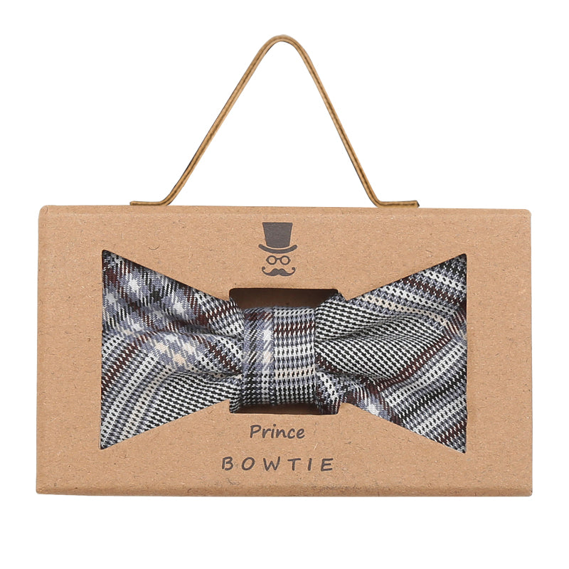 Prince Bowtie Fliege mit toller Farbkombination - Box - Silber/Grau