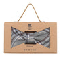 Prince Bowtie Fliege mit toller Farbkombination - Box - Silber/Grau
