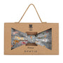 Prince Bowtie Fliege mit floralem Druck - Box - Grau