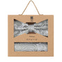 Prince Bowtie Set Fliege + Tuch im Paisley-Design - Box - Mint