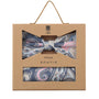 Prince Bowtie Set Fliege + Tuch Paisley - Box - Dunkelblau
